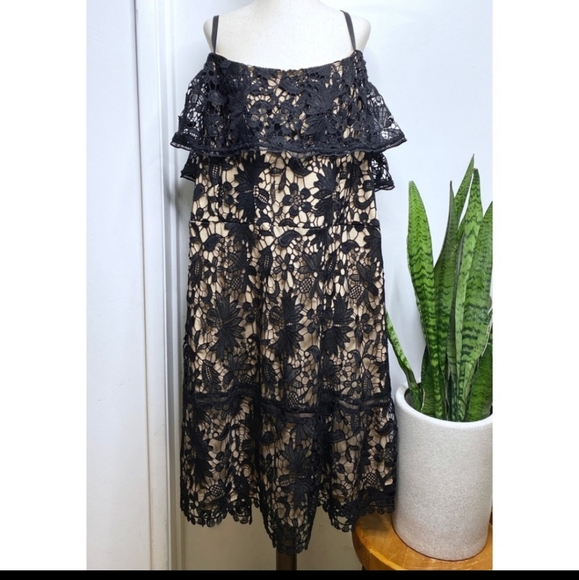 NWT CITY CHIC NUDE ILLUSION DRESS SZ. 24/XXL - Picture 5 of 5